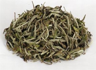 White Tea Extract, Organic White Tea Extract