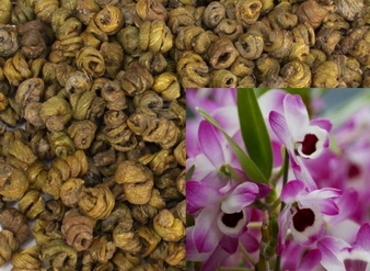 Dendrobium Extract, Dendrobium Nobile Extract