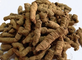 Medicinal Indianmulberry Root P.E., Morinda Extract, Radix