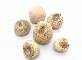 Pinelliae Extract, Pinellia Tuber Extract
