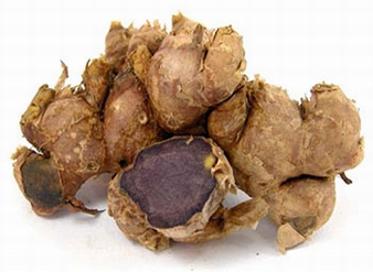 Black Ginger Extract, Kaempferia parviflora Extract, Thai bl