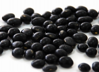 Black soybean hull extract,Black Soybean Peel Extract
