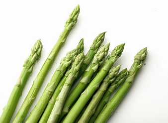 Asparagus Extract, Asparagus officinalis Extract