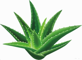 Aloe emodin, Aloeemodin