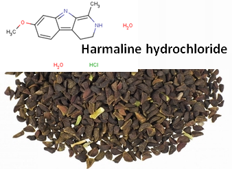 Harmaline hydrochloride, Peganum harmala Extract
