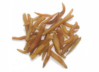 Asparagus Root Extract, Asparagus Racemosus Root Extract