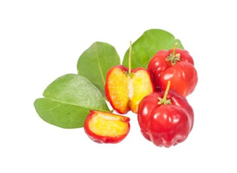 Acerola cherry Extract, West indian cherry Extract，Malpighi