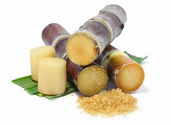 Sugarcane Extract, Sugar Cane Extract