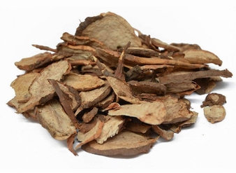 Ampelopsis Japonica Root Extract