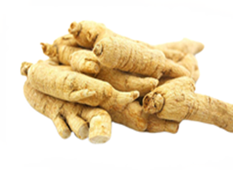American Ginseng Extract, Panax quinquefolius Extract