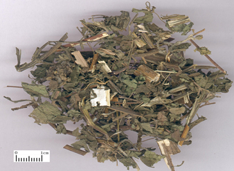 Siegesbeckiae herba Extract，Siegesbeckia orientalis Extract