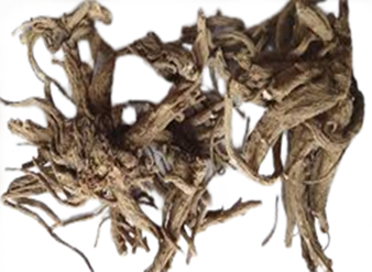 Angelica gigas Extract, Korean angelica Extract, Giant angelica Extract, Purple parsnip Extract, Dangquai Extract